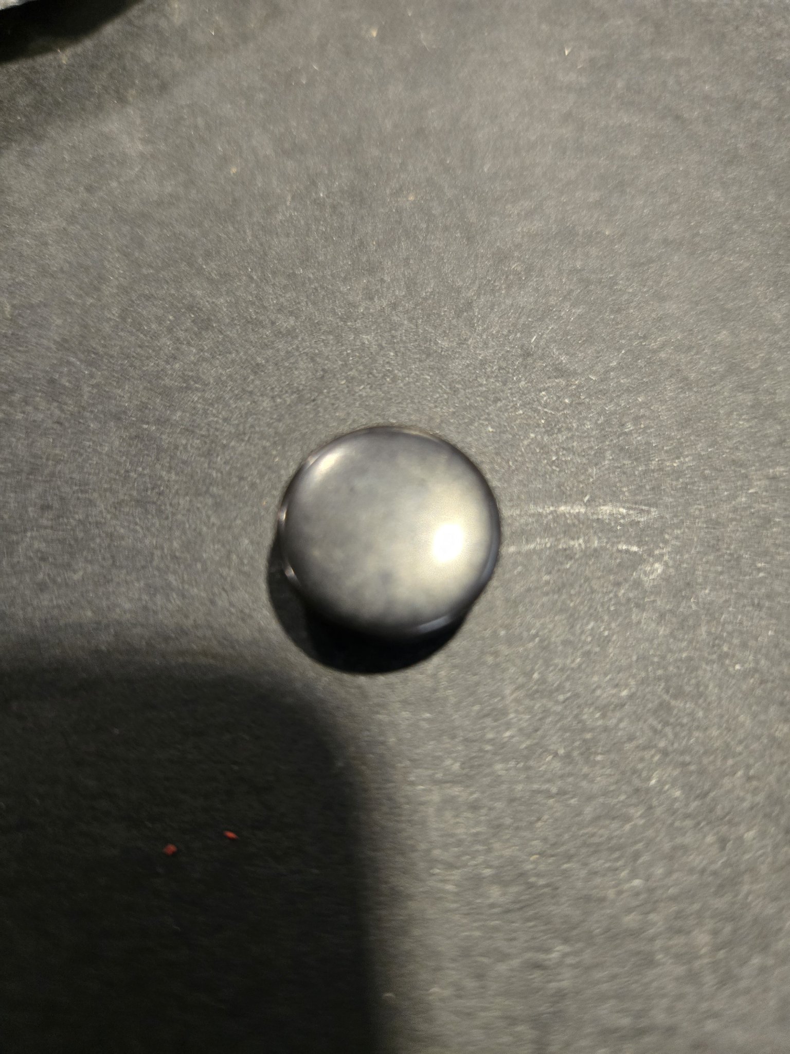 Black snap color choice